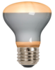 Foco de Filamento LED. Frost. Atenuable | 4W | E27 | 127V. Tecnolite Aplicaciones